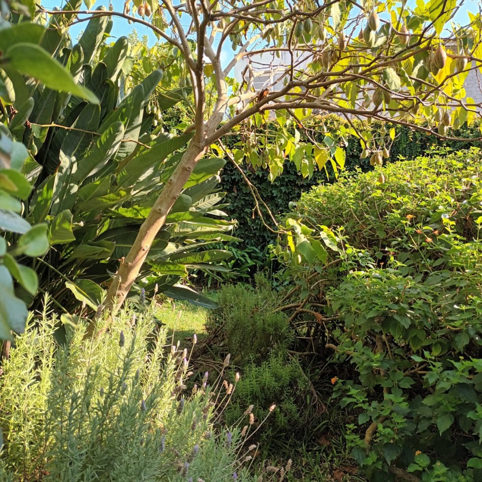 Chalet 4 ambientes - Apto credito 