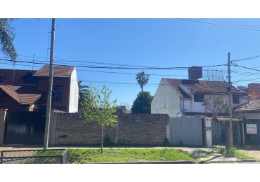 Lote de 10 x 42 